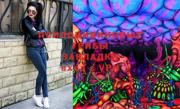 дурь Краснослободск
