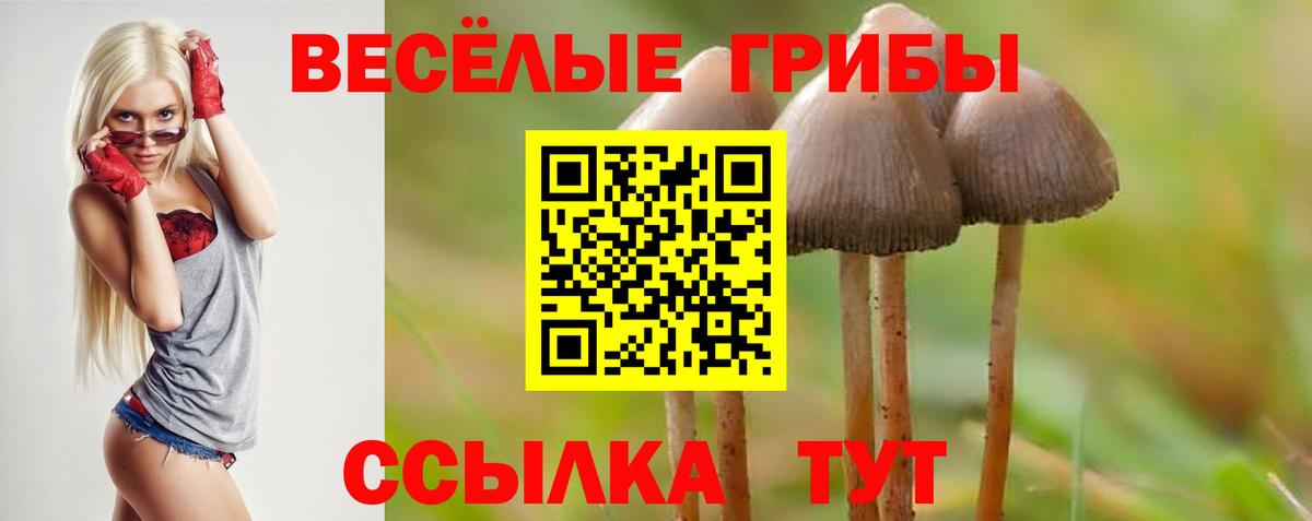 Барнаул  Галлюциногенные грибы GOLDEN TEACHER  Вход с VPN 