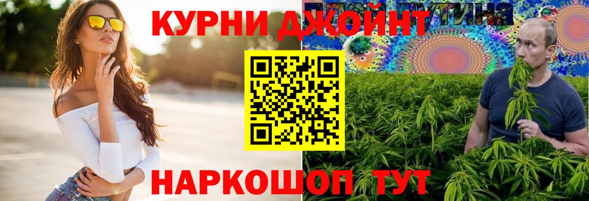 Конопля MAZAR  Каннабис семена  Барнаул 